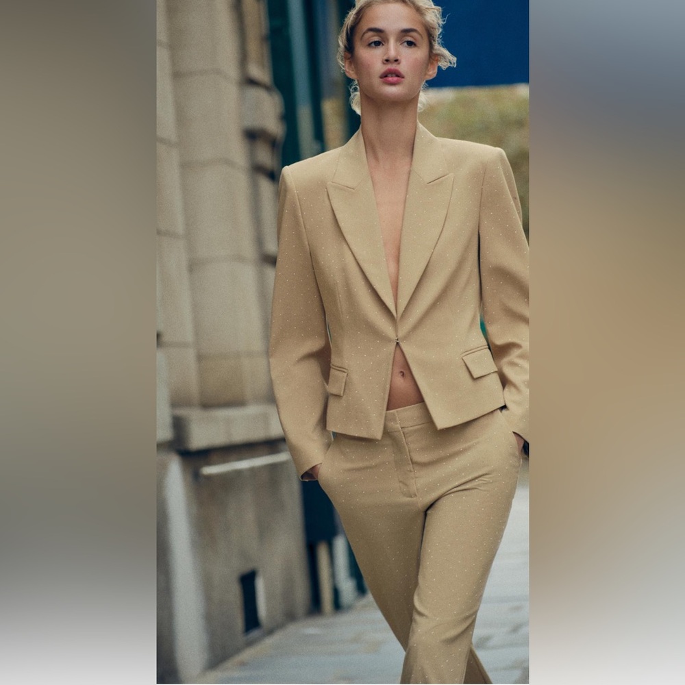 Zara Sparkly Blazer Set size L BNWT